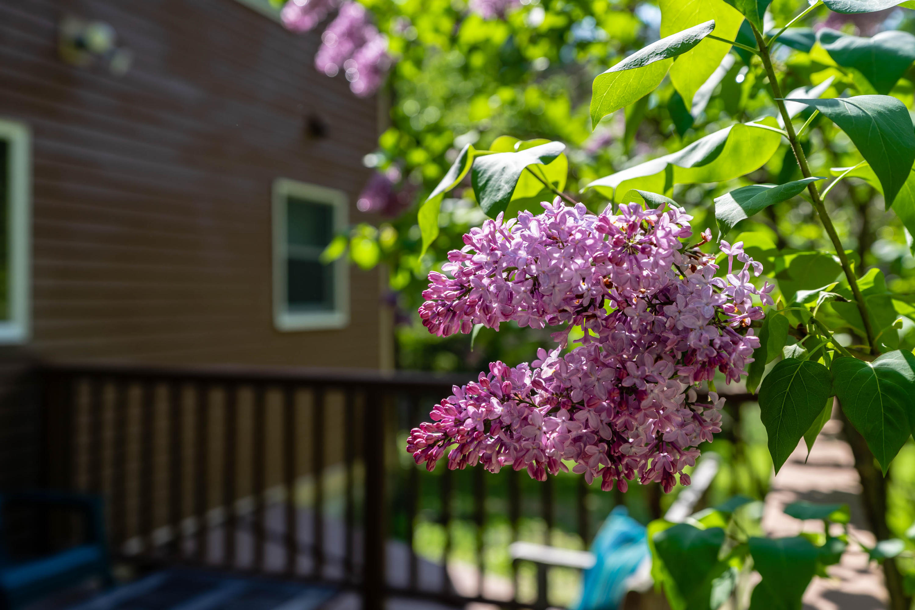 14 Marshview Drive Gray, ME 04039 - Photo 32 of 41 1-Exterior-12