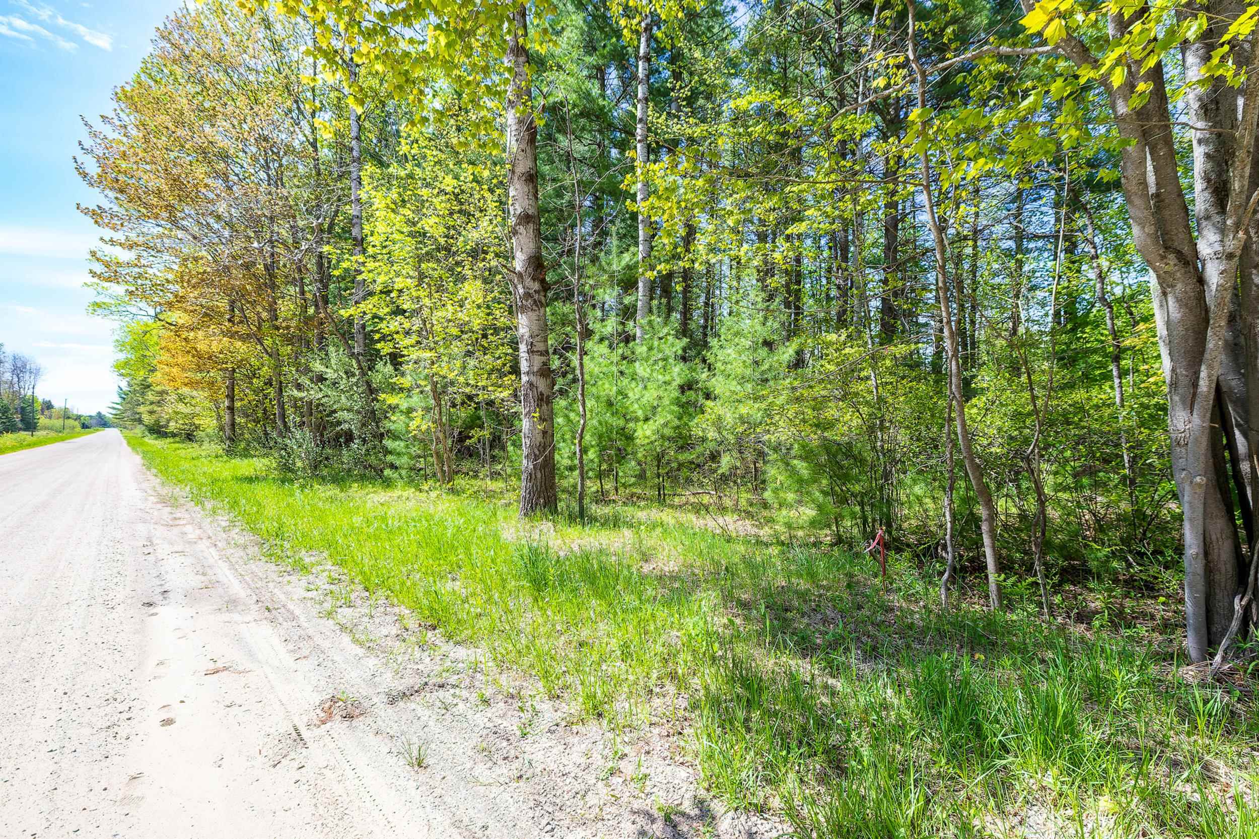 0 Makinen Road Kaleva, MI 49645 - Photo 8 of 25