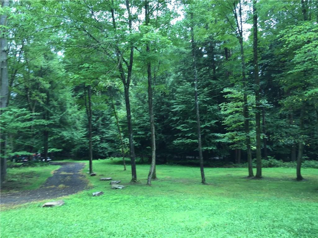 512 Beaver Run Road Westover, PA 16692 - Photo 17 of 24 Yard