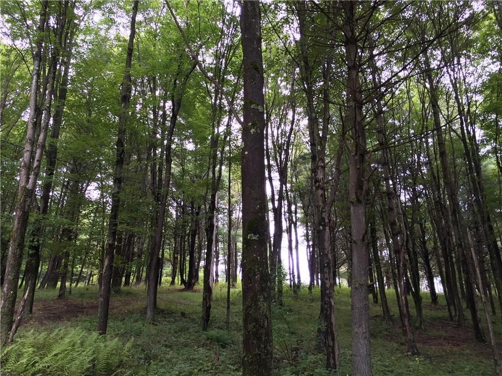 512 Beaver Run Road Westover, PA 16692 - Photo 20 of 24 Woods