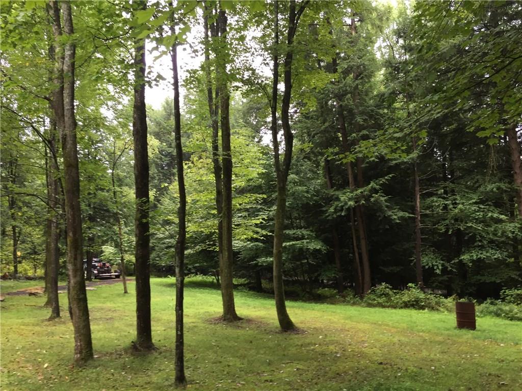 512 Beaver Run Road Westover, PA 16692 - Photo 22 of 24 Yard