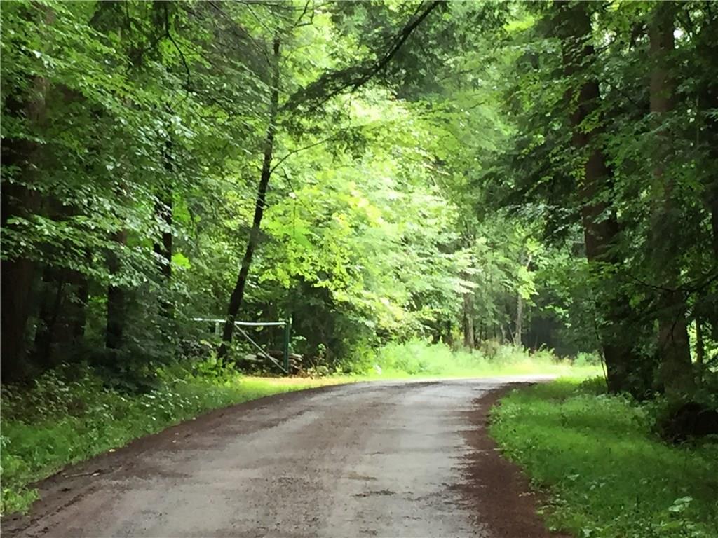 512 Beaver Run Road Westover, PA 16692 - Photo 23 of 24 Main road