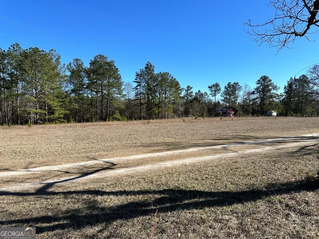 0 Williams Road Danville, GA 31017 - Photo 1 of 1 Main View