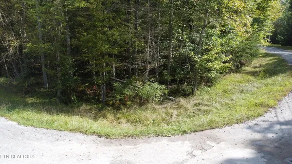 a view of a lake view with large trees