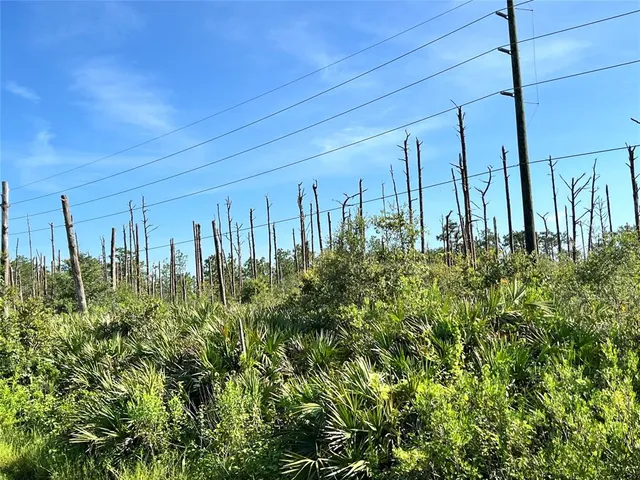 a view of a yard with an ocean beach