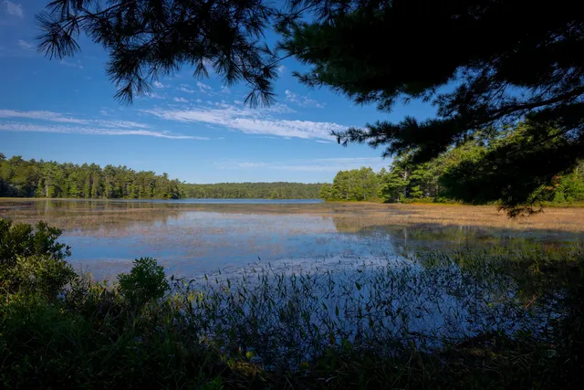 $650,000 | 0 Main (rte 102) St Mount, Mount Desert, ME 04660