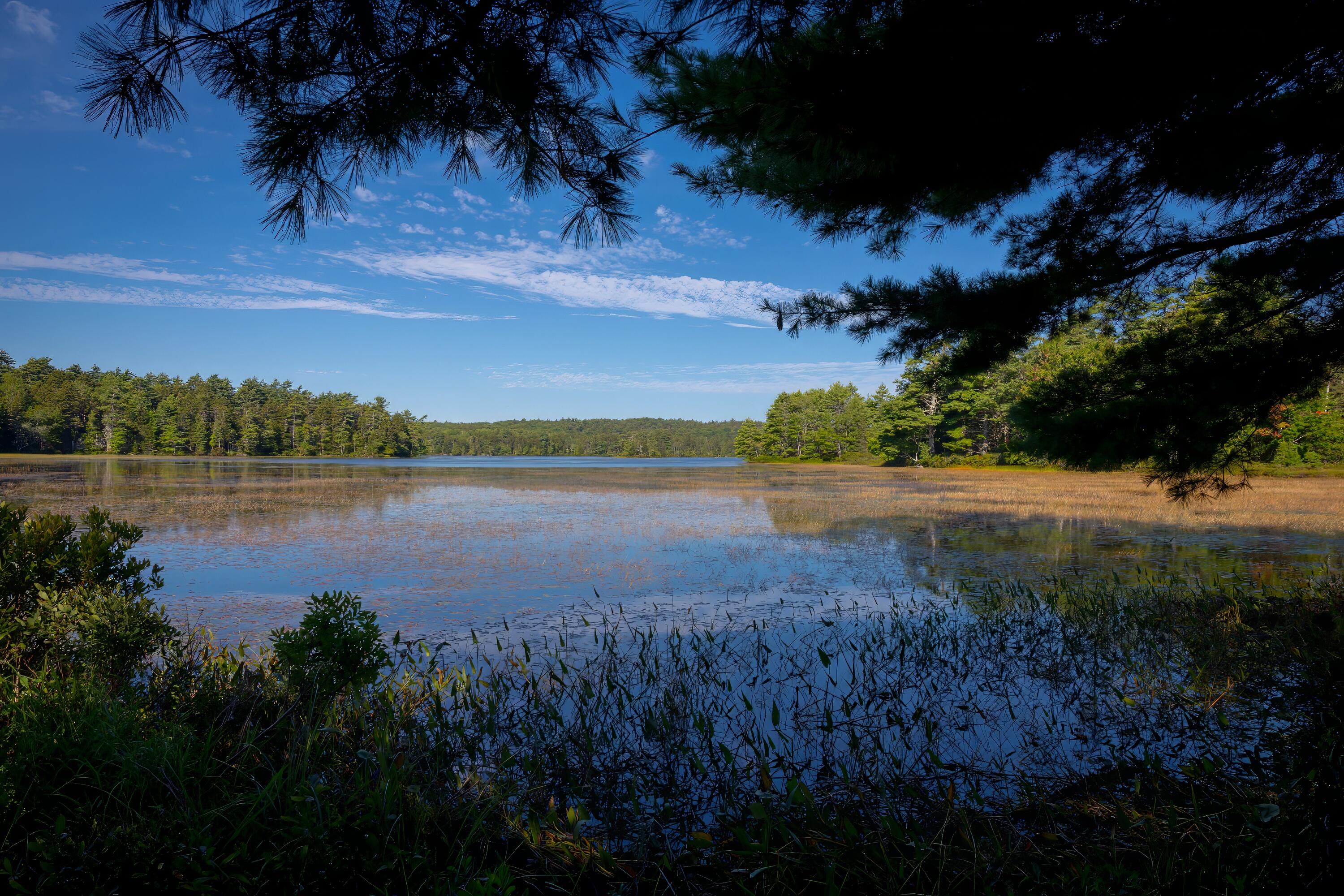 0 Main (rte 102) St Mount Mount Desert, ME 04660 - Photo 1 of 9 51-William C Fernald Land Somesville-DTP