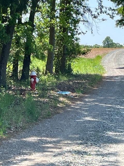 0 Rilla Hamilton Road Monroe, NC 28110 - Photo 6 of 12 a view of a yard with large tree