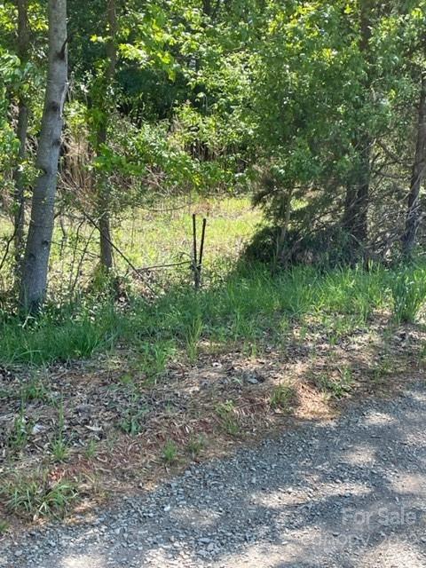 0 Rilla Hamilton Road Monroe, NC 28110 - Photo 7 of 12 a big yard with lots of green space and deers