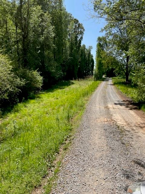 0 Rilla Hamilton Road Monroe, NC 28110 - Photo 8 of 12 a view of a yard with plants and large trees