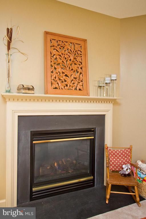 133 West 7th Street Lititz, PA 17543 - Photo 8 of 39 Gallery Image 8