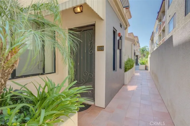 a view of a potted plants from a hallway