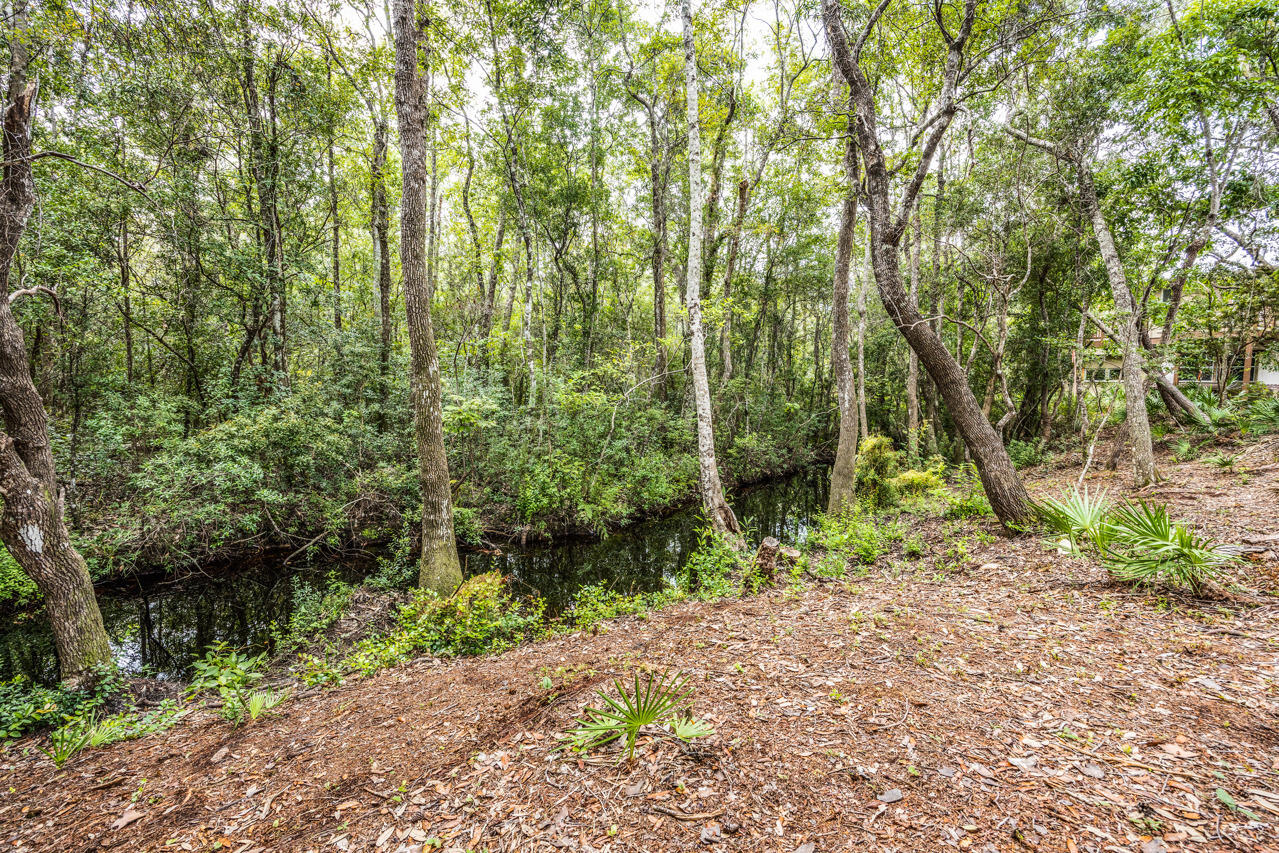 75 Taurus Drive Santa Rosa Beach, FL 32459 - Photo 23 of 33 MLS 25