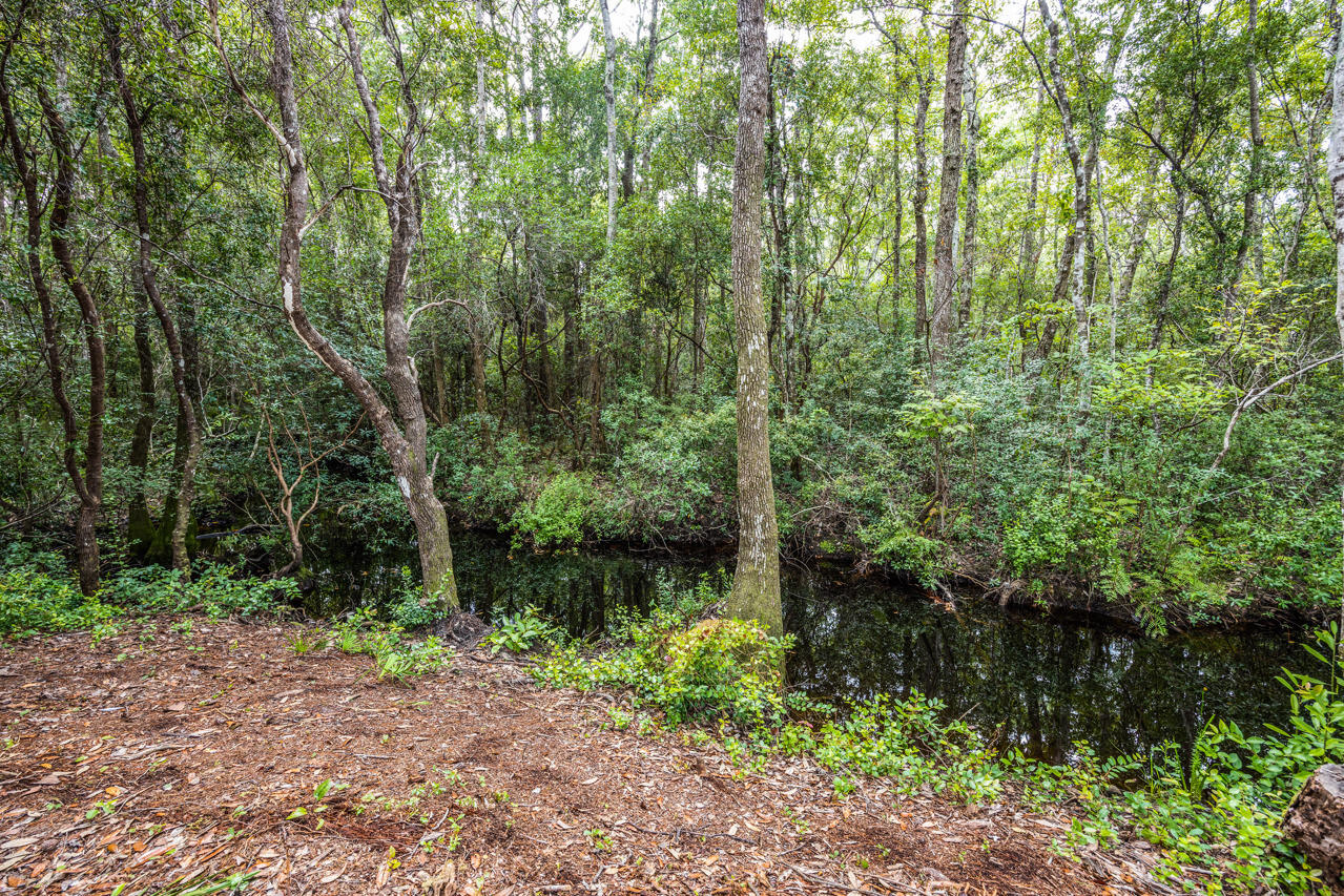 75 Taurus Drive Santa Rosa Beach, FL 32459 - Photo 24 of 33 MLS 26