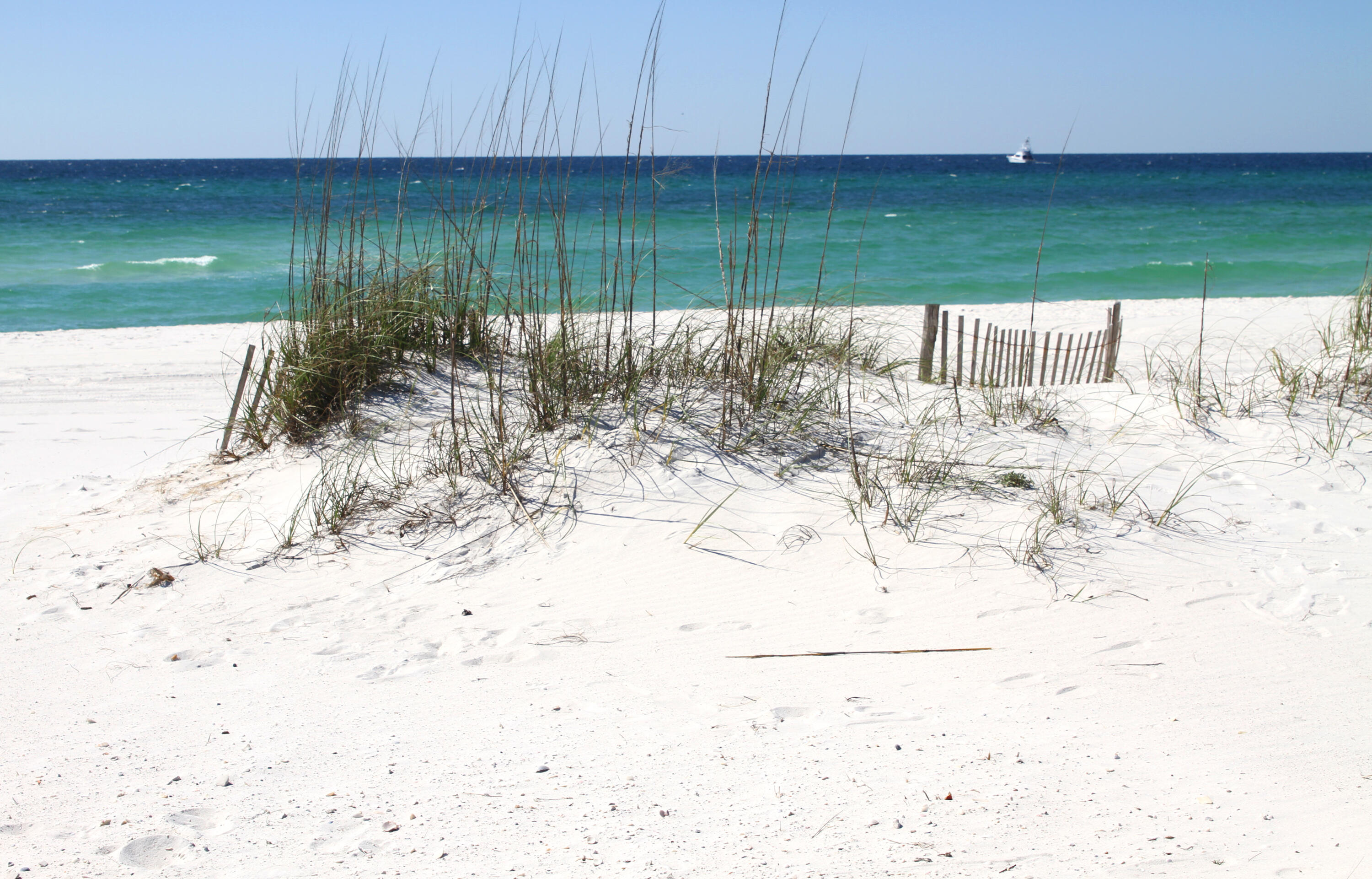 75 Taurus Drive Santa Rosa Beach, FL 32459 - Photo 31 of 33 beach dune