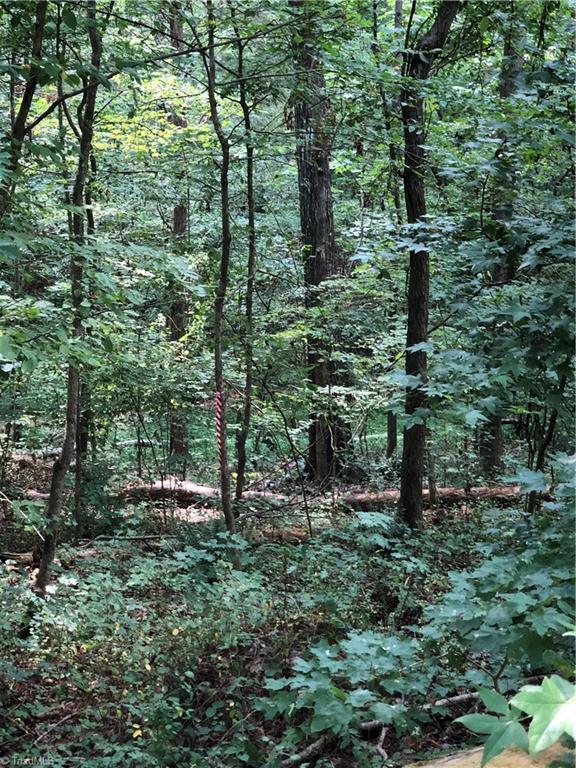 0 Kennedy Road Trinity, NC 27370 - Photo 2 of 10