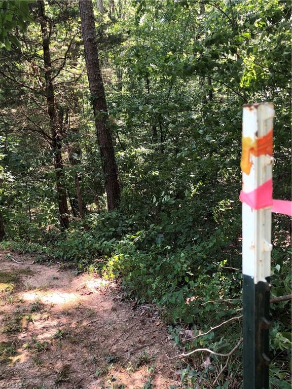 0 Kennedy Road Trinity, NC 27370 - Photo 3 of 10