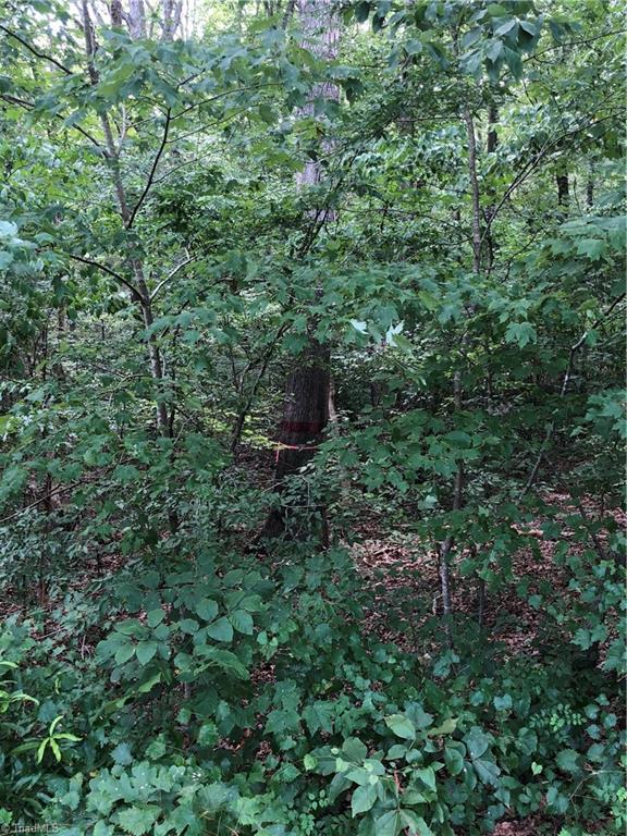 0 Kennedy Road Trinity, NC 27370 - Photo 4 of 10