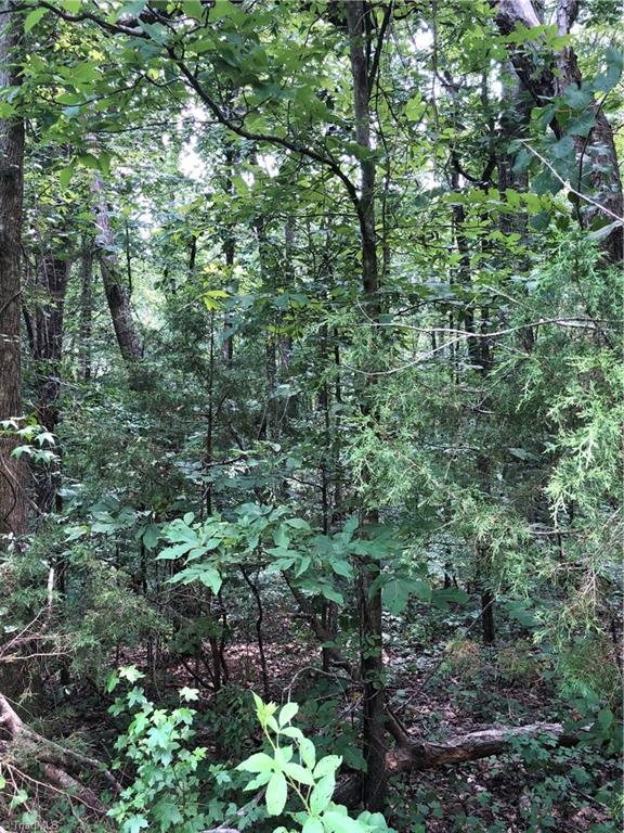 0 Kennedy Road Trinity, NC 27370 - Photo 5 of 10
