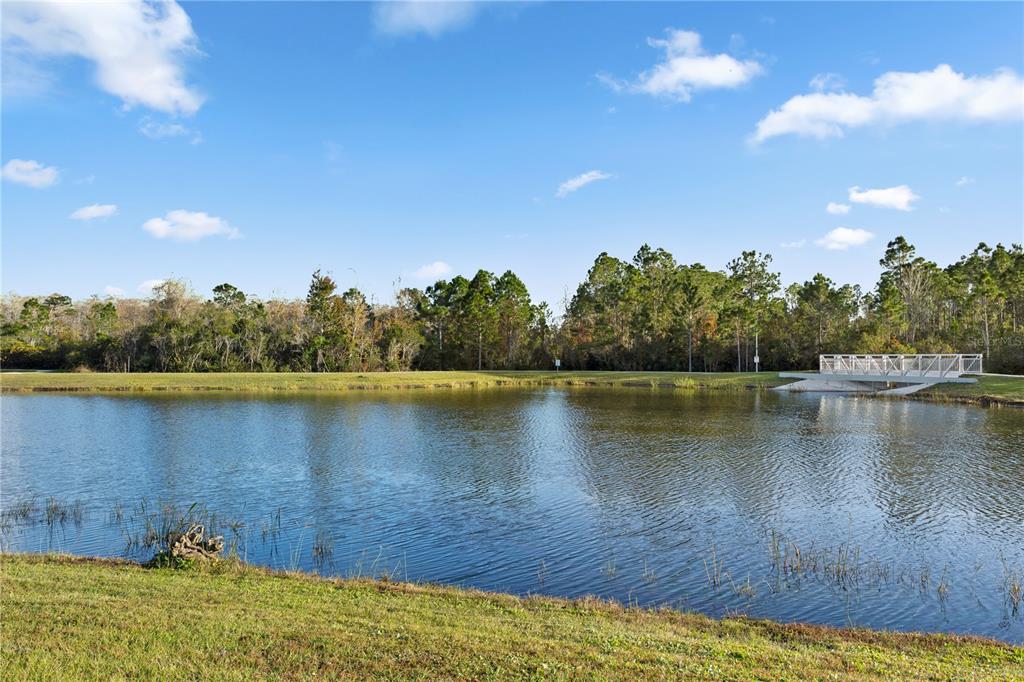 10774 Sunset Ridge Lane Orlando, FL 32832 - Photo 46 of 53 Gallery Image 46
