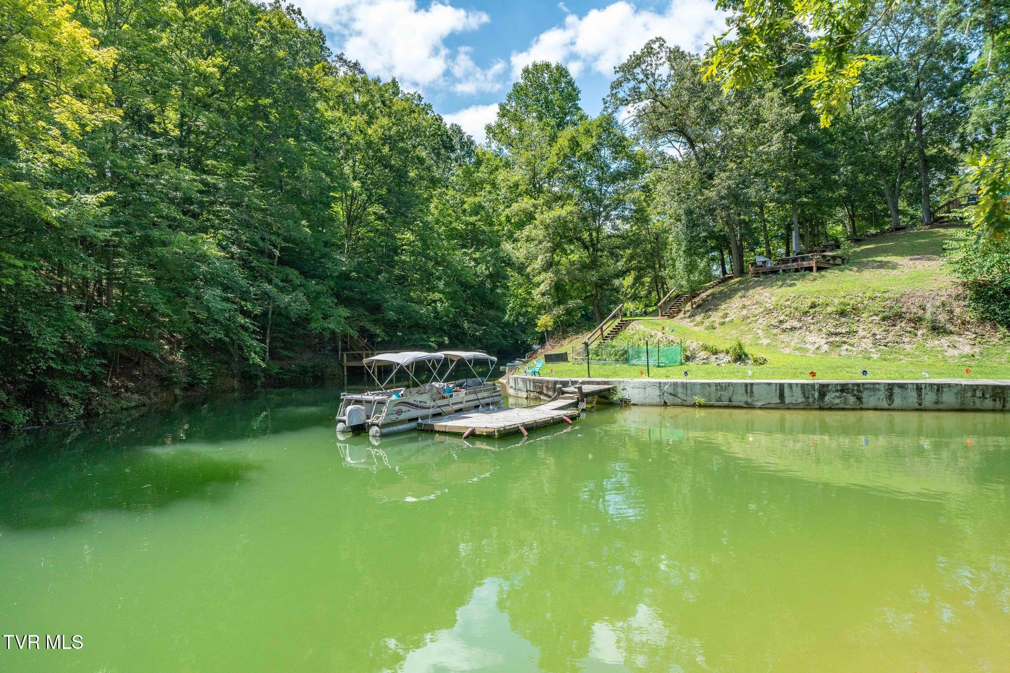 2316 Devault Bridge Road Piney Flats, TN 37686 - Photo 37 of 61 2316 Devault Bridge Rd (42 of 70)
