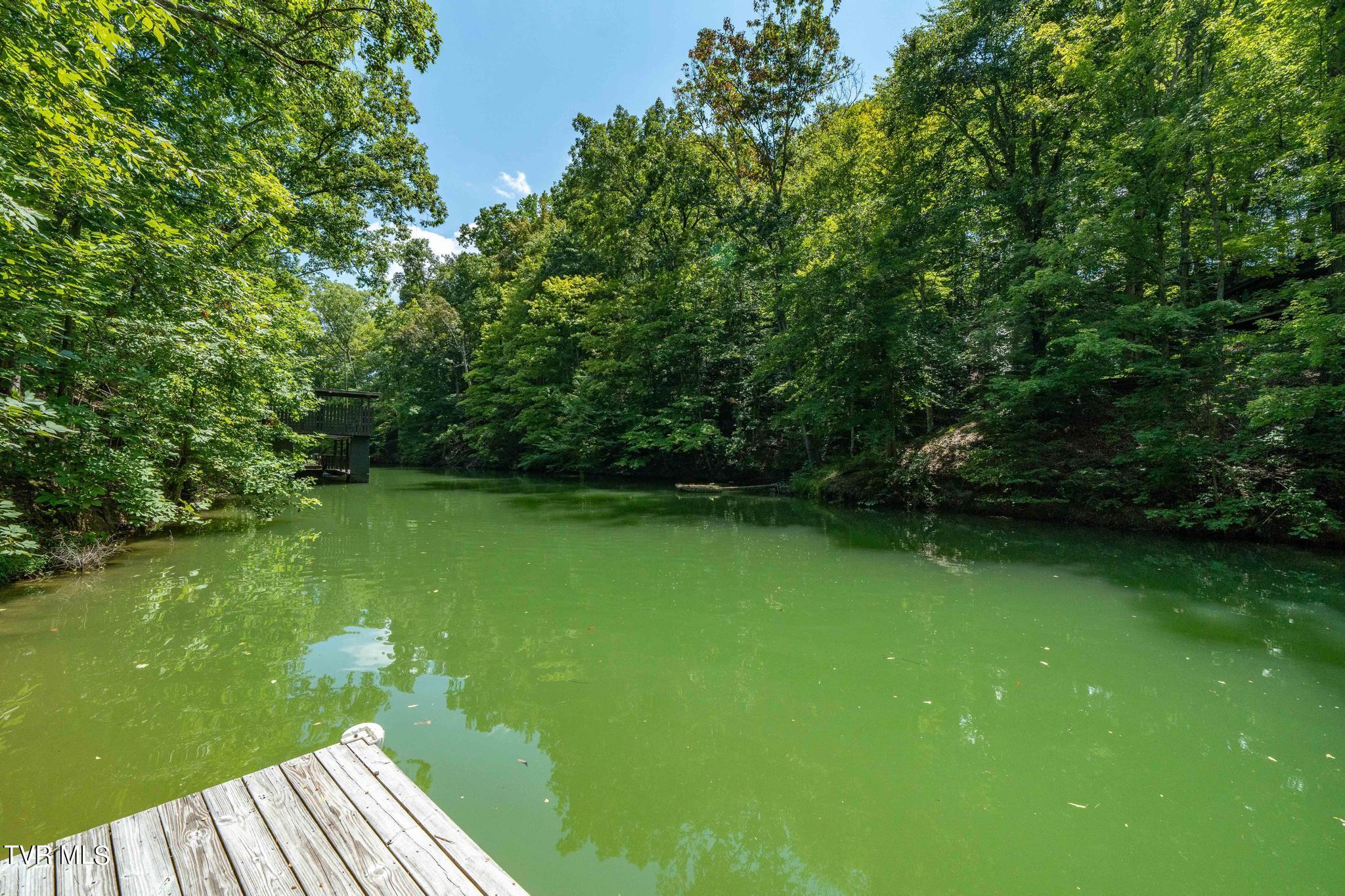2316 Devault Bridge Road Piney Flats, TN 37686 - Photo 44 of 61 2316 Devault Bridge Rd (49 of 70)