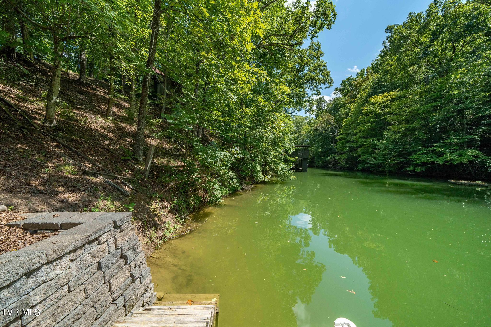 2316 Devault Bridge Road Piney Flats, TN 37686 - Photo 45 of 61 2316 Devault Bridge Rd (50 of 70)