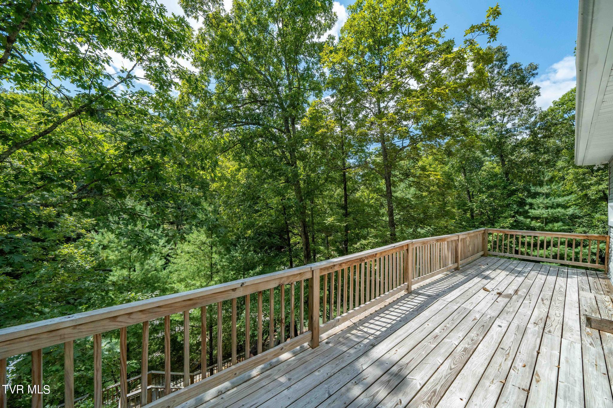2316 Devault Bridge Road Piney Flats, TN 37686 - Photo 51 of 61 2316 Devault Bridge Rd (15 of 70)