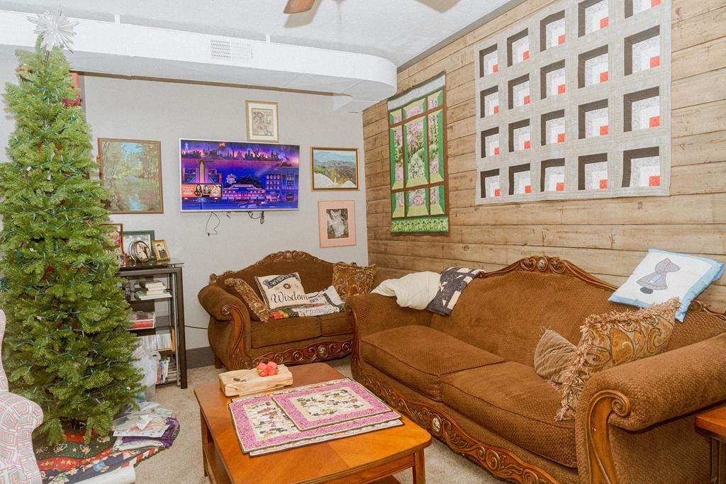 607 Main Street Emlenton, PA 16373 - Photo 13 of 62 a living room with furniture and a potted plant