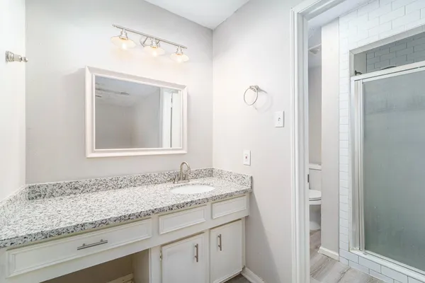 a bathroom with a granite countertop sink and a mirror