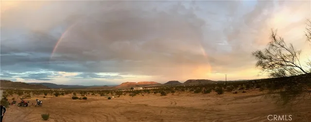 a view of road with large trees