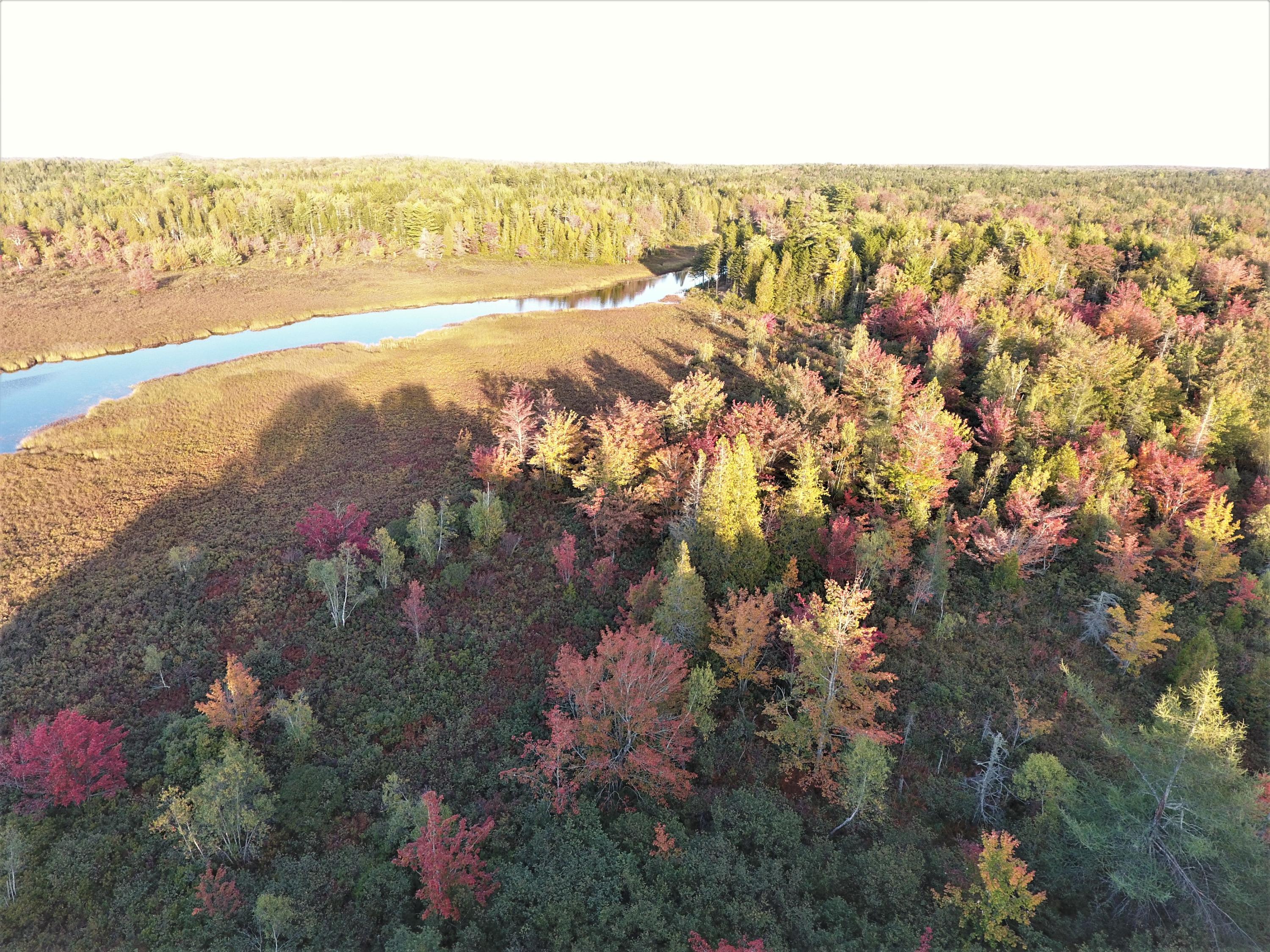 190 Orange Lake Road Whiting, ME 04691 - Photo 6 of 72 DJI_0830