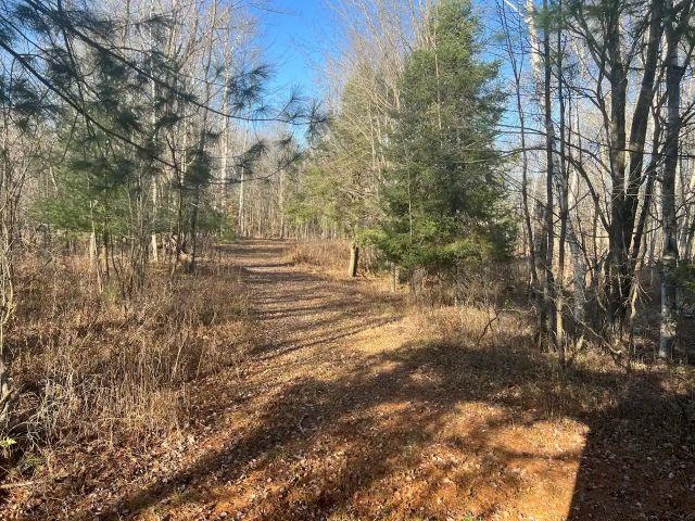 188 West Procunier Road Mikado, MI 48745 - Photo 10 of 20