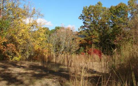 10-14 Mission Ridge Road Murphy, NC 28906 - Photo 1 of 1 Main View