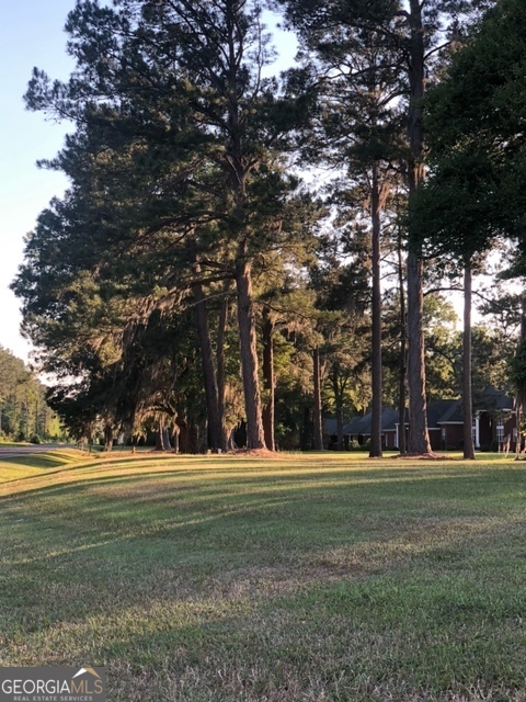 203 Manchester Drive Albany, GA 31721 - Photo 5 of 6 a garden view with trees