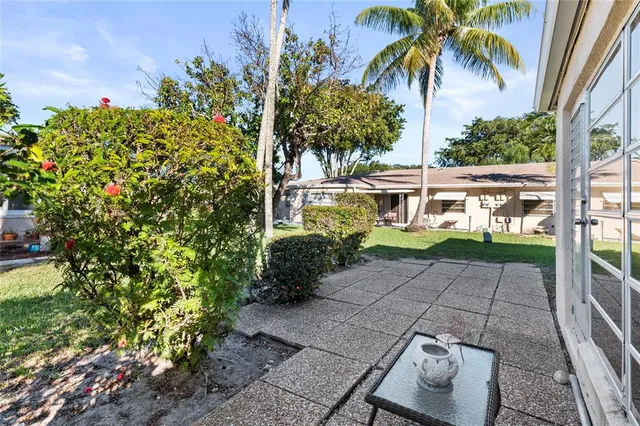 a view of a backyard with plants