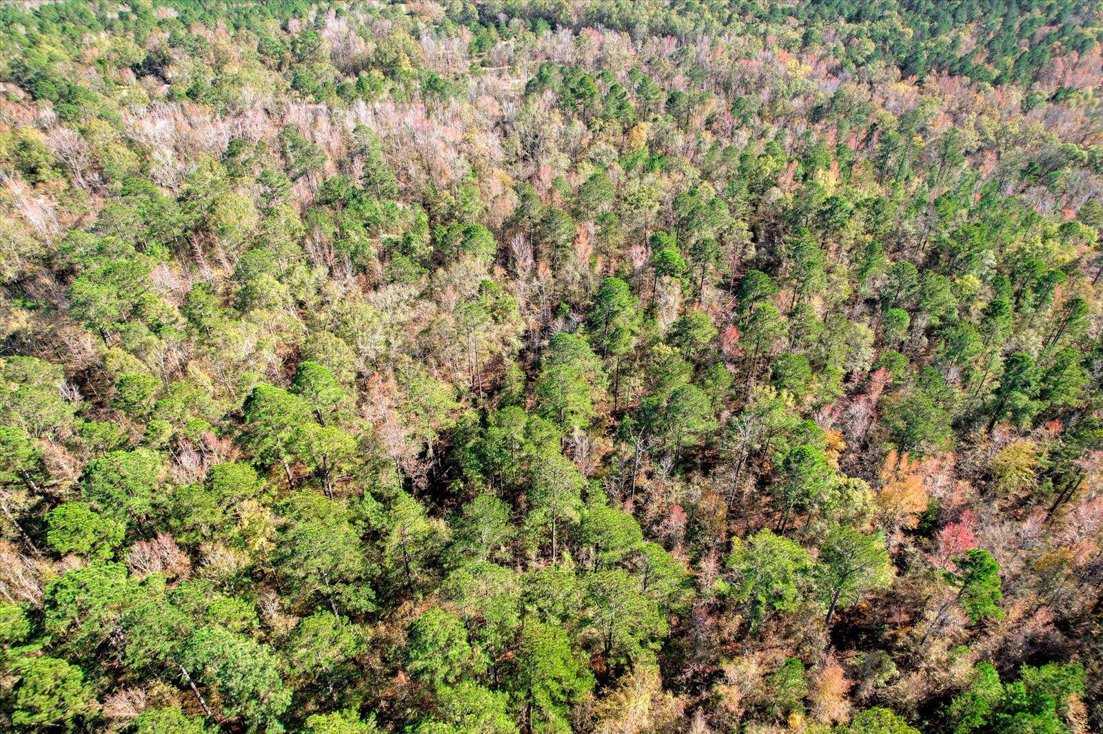 000 Wrightsboro Road Harlem, GA 30814 - Photo 16 of 18 10-112