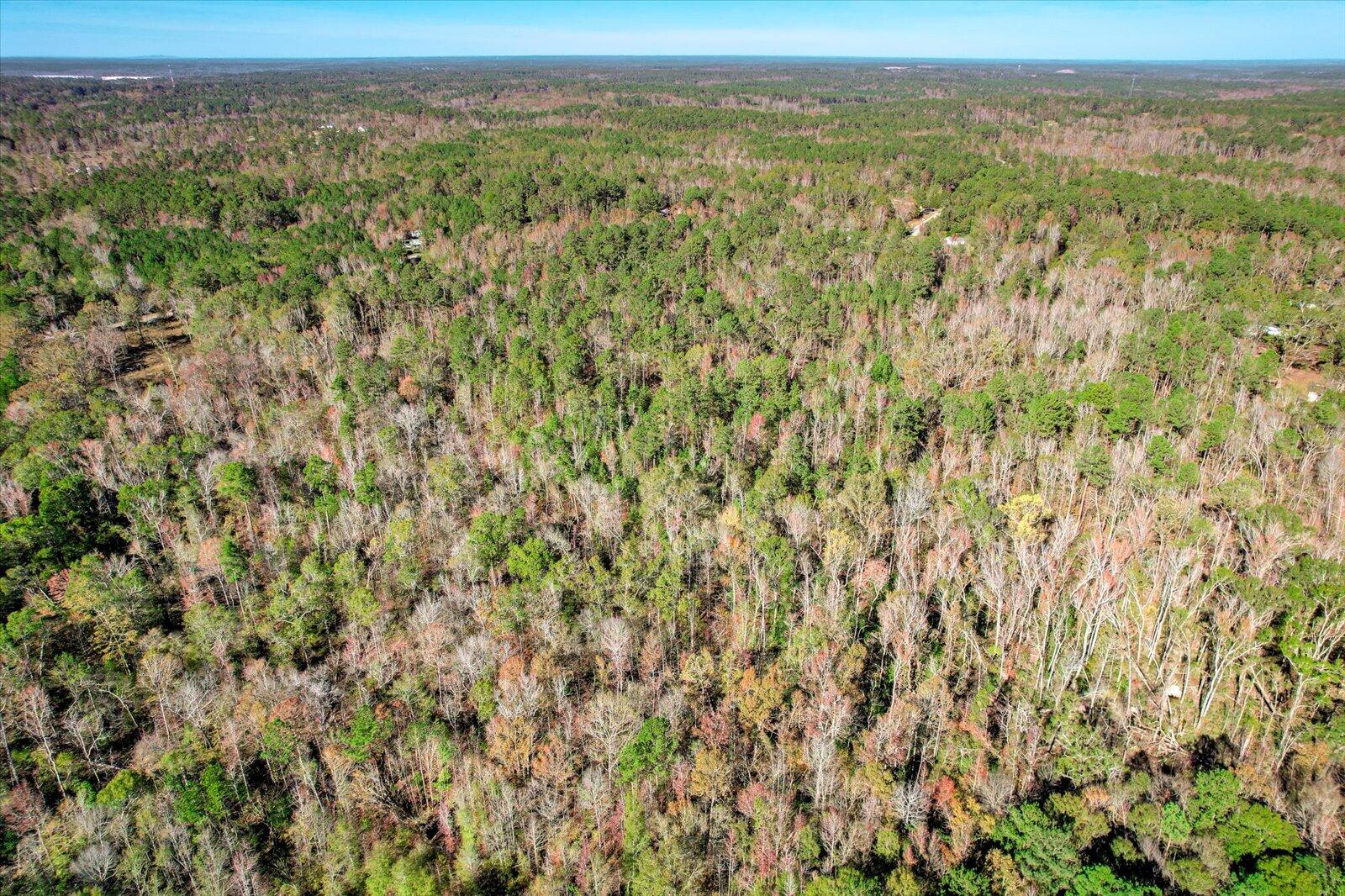 000 Wrightsboro Road Harlem, GA 30814 - Photo 17 of 18 13-115