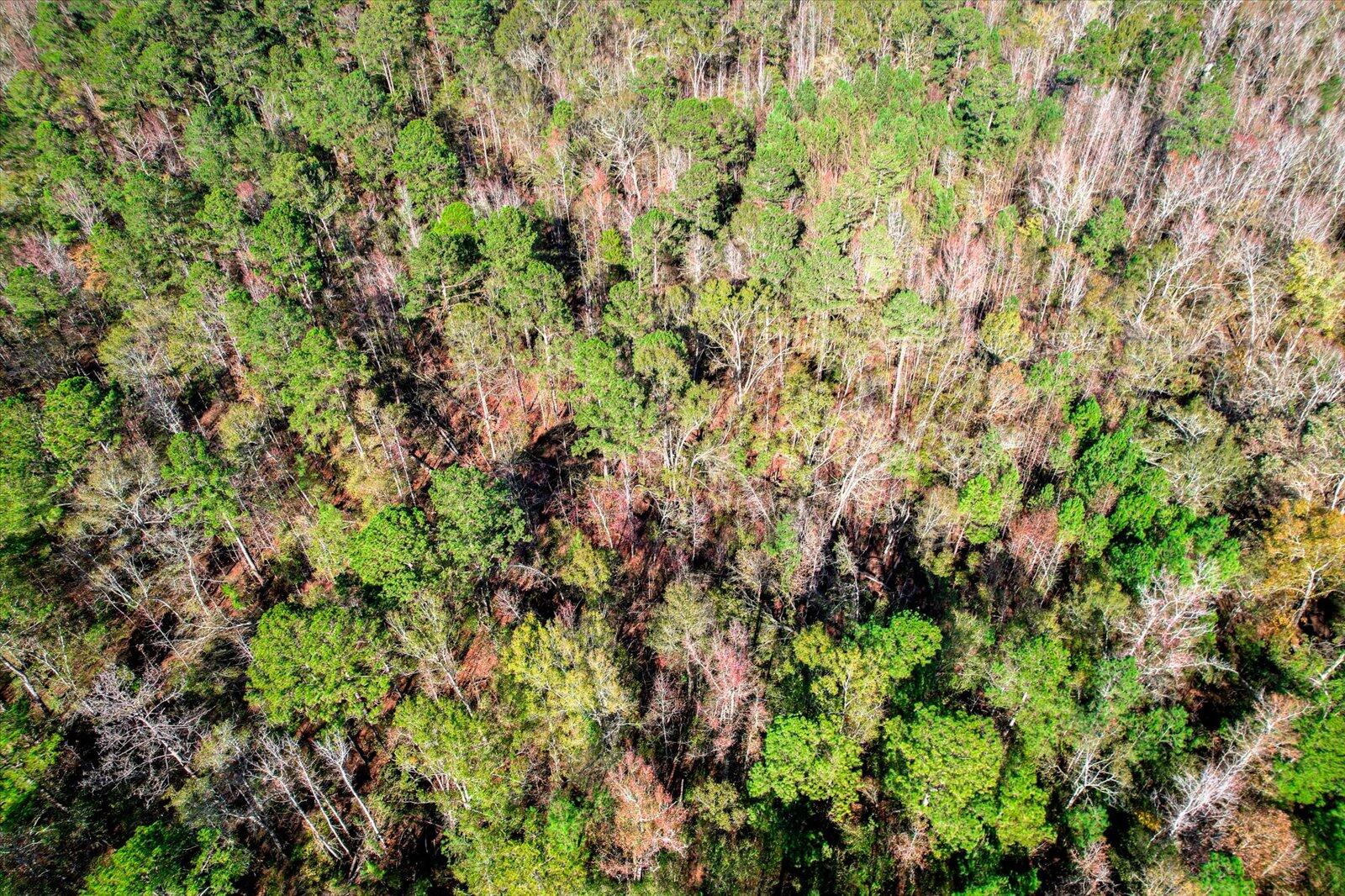 000 Wrightsboro Road Harlem, GA 30814 - Photo 6 of 18 15-117