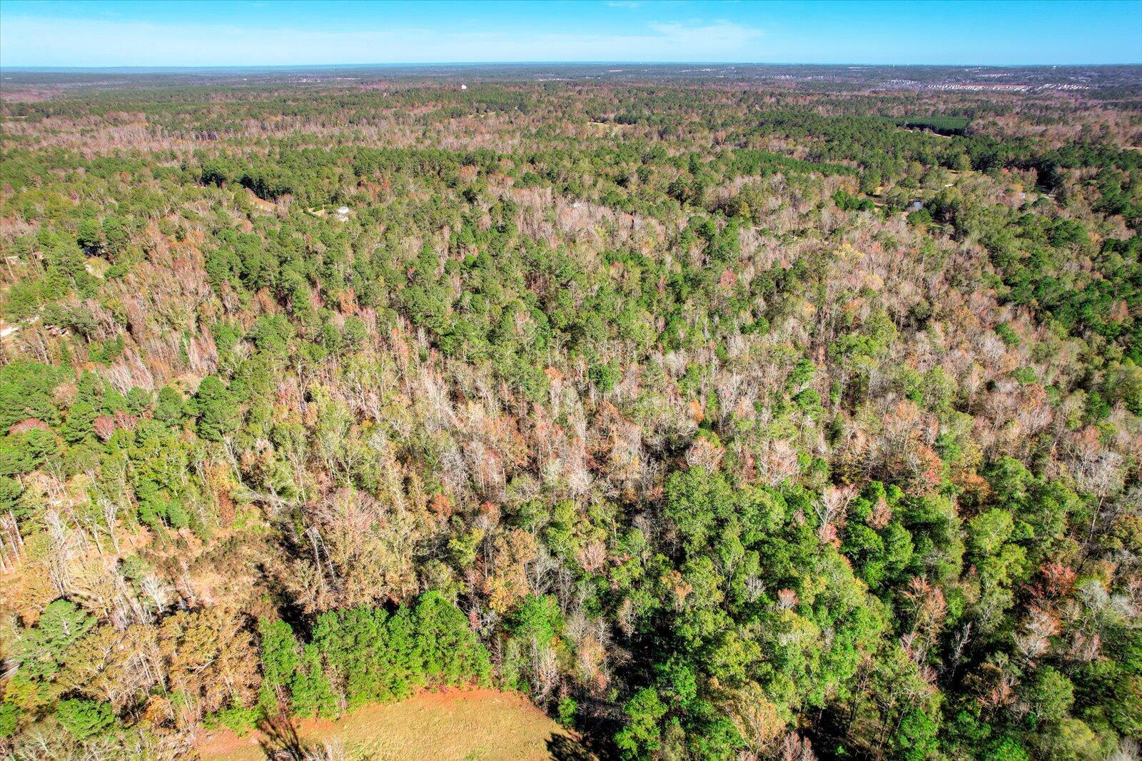 000 Wrightsboro Road Harlem, GA 30814 - Photo 7 of 18 11-113