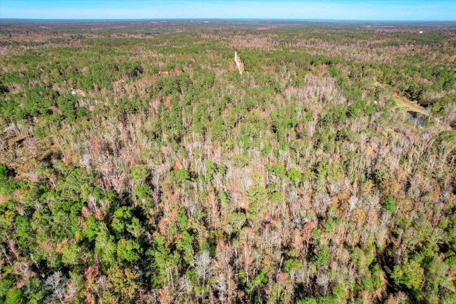 000 Wrightsboro Road Harlem, GA 30814 - Photo 8 of 18 12-114