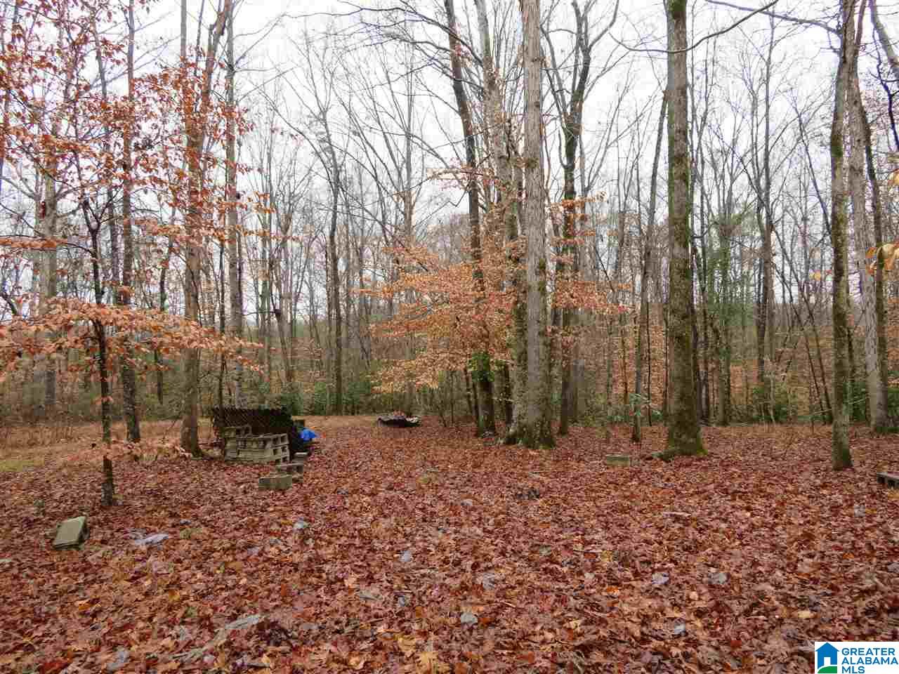 138 Cedar Grove Road West Blocton, AL 35184 - Photo 20 of 44