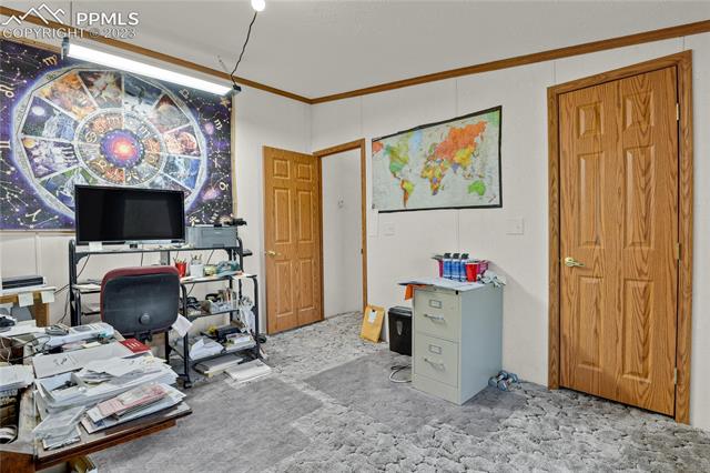 1630 North Holtwood Road Rush, CO 80833 - Photo 19 of 47 Gallery Image 19