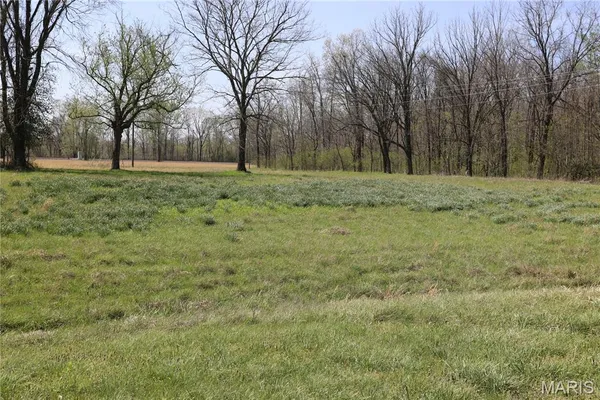 $185,000 | 0 Highway O Williamsville Mo 63967, Williamsville, MO 63967