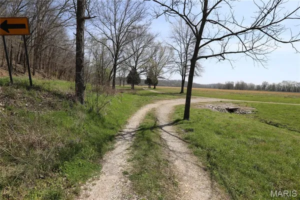 $185,000 | 0 Highway O Williamsville Mo 63967, Williamsville, MO 63967