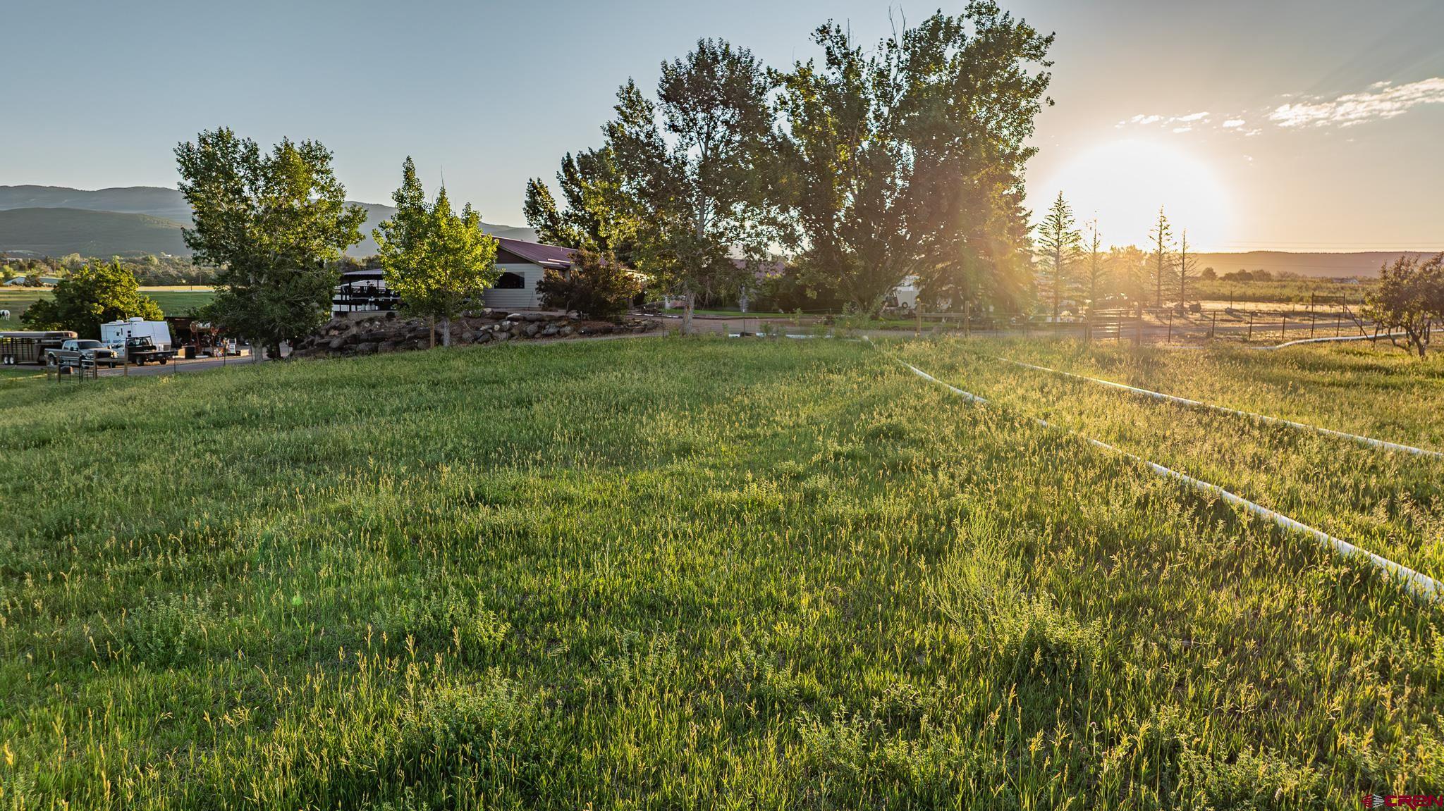 23045 T Road Cedaredge, CO 81413 - Photo 6 of 43