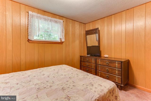 7481 Supinlick Ridge Road Basye, VA 22842 - Photo 18 of 29 Bedroom