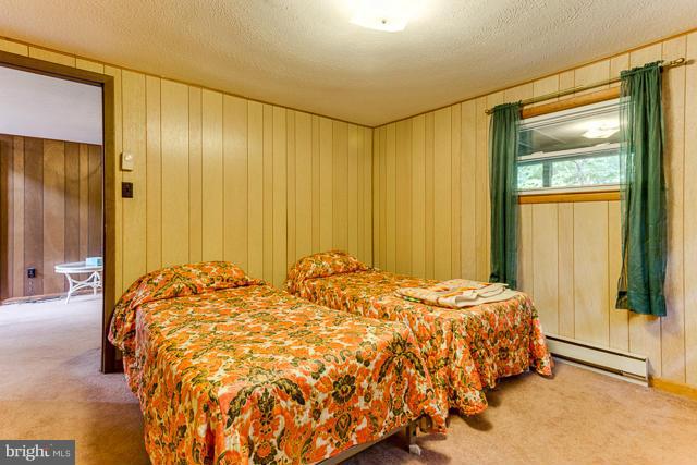 7481 Supinlick Ridge Road Basye, VA 22842 - Photo 19 of 29 Bedroom