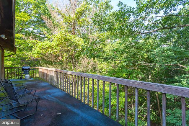 7481 Supinlick Ridge Road Basye, VA 22842 - Photo 24 of 29 Exterior (Rear)
