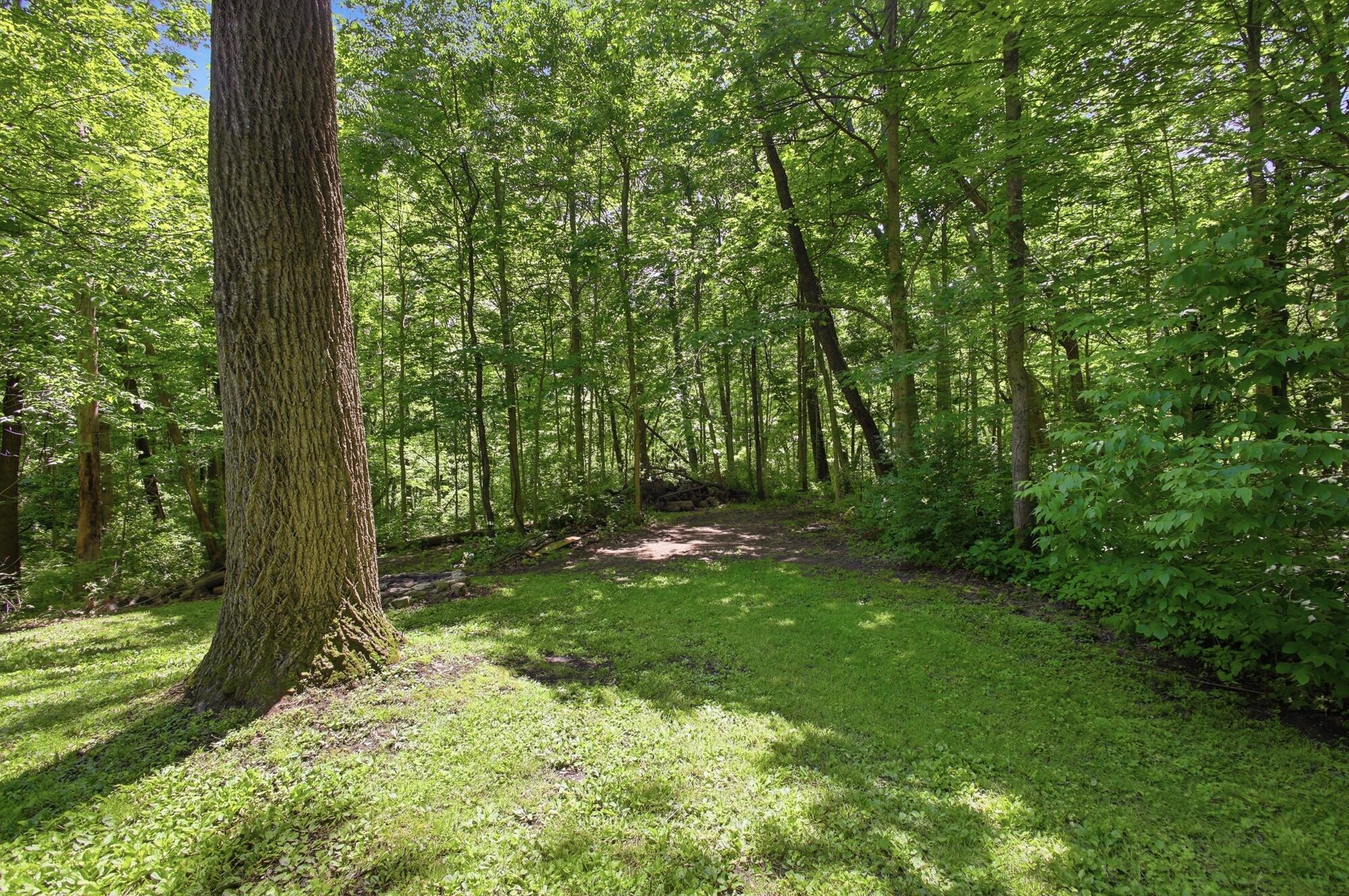 769 Shrine Road Springfield, OH 45504 - Photo 43 of 45 043